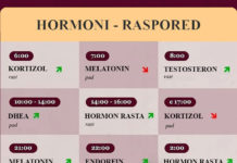 Hormonski raspored tijela – EVO kako savršeno iskoristiti 24 sata!
